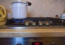 Сергей Миронов и Яна Лантратова обратили внимание на рост тарифов
Данную тему лидер фракции СРЗП в Государственной Думе и депутат от Челябинской области и глава комитета по развитию гражданского общества подняли в письме министру энергетики РФ Сергею Цивилёву