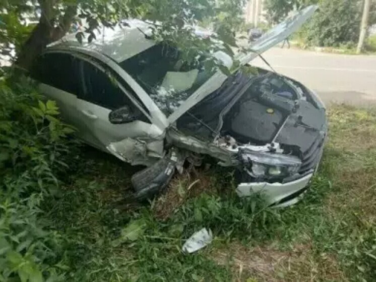 В Ростовской области автомобилист врезался в дерево