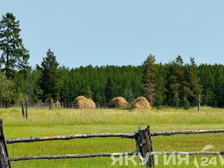 Живым найден мужчина, пропавший между селами в Верхоянском районе