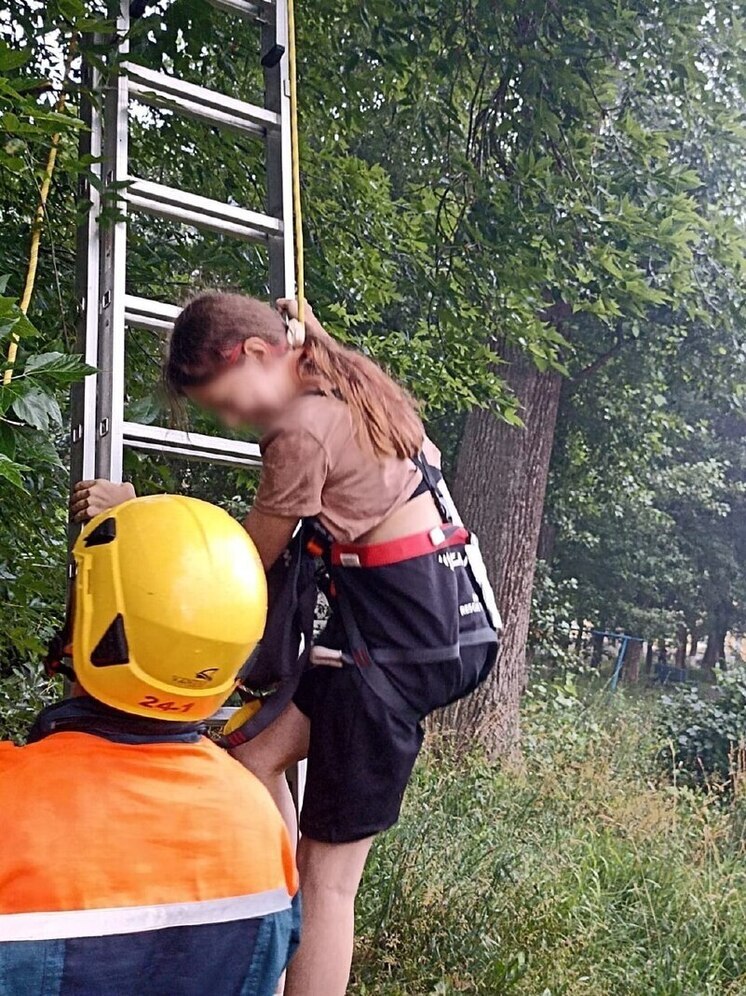 В Уфе спасатели сняли с дерева девочку и котенка