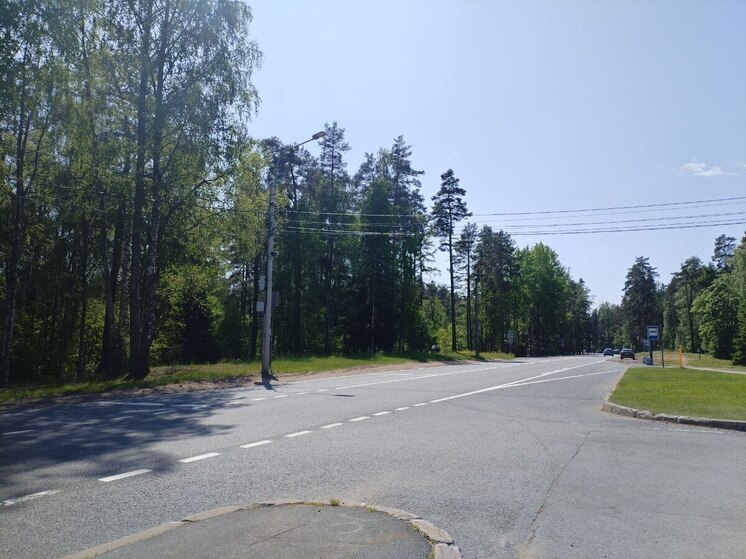 Петербурженка и ее дочь-младенец погибли в ДТП на трассе «Нарва»