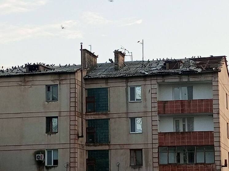 В Нижнегорском районе сильный ветер повредил кровли домов