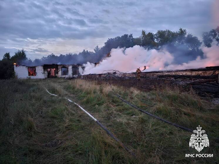 МЧС: За сутки в Рязанской области потушили пять пожаров
