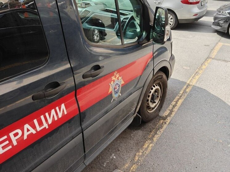 В Санкт-Петербурге возбудили уголовное дело после избиения врача скорой помощи