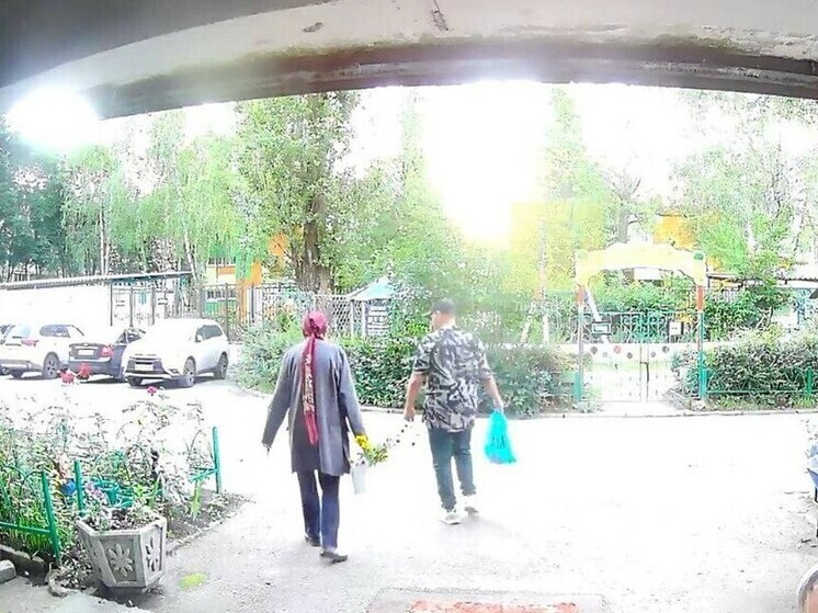 Полиция заинтересовалась серийными расхитителями палисадников в Липецке