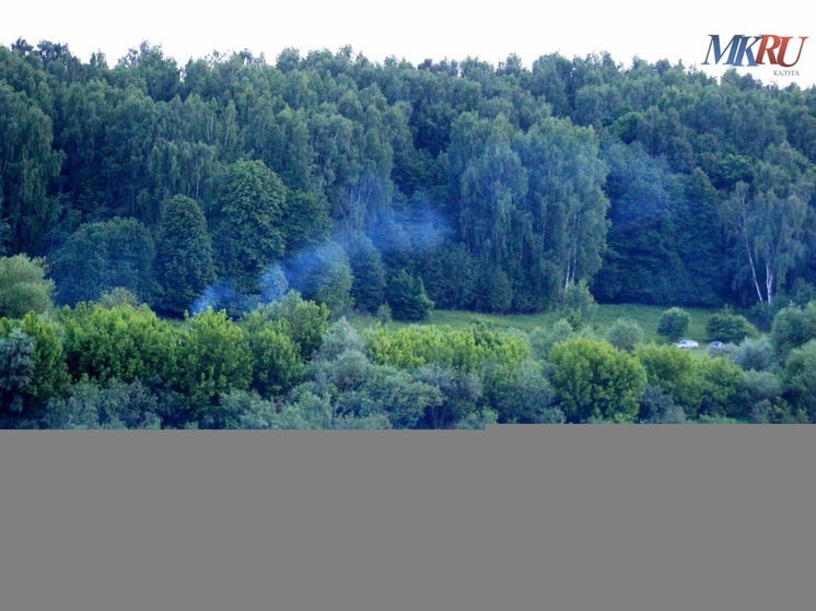 Ещё один БПЛА сегодня днём сбили над Калужской областью