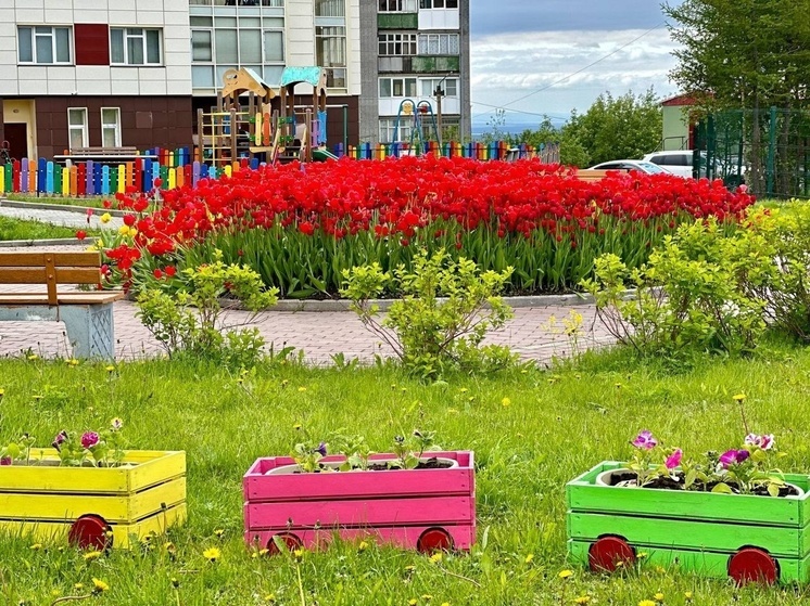 Северяне могут подать заявку на участие в конкурсе «Цветущий город» до 30 августа