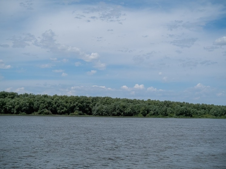 Волгоградцам на 7 июля обещают жару до +33 градусов