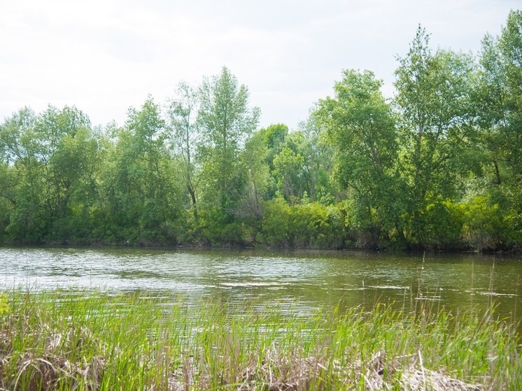 Народные приметы: чего не стоит делать 7 июля, на Ивана Купалу