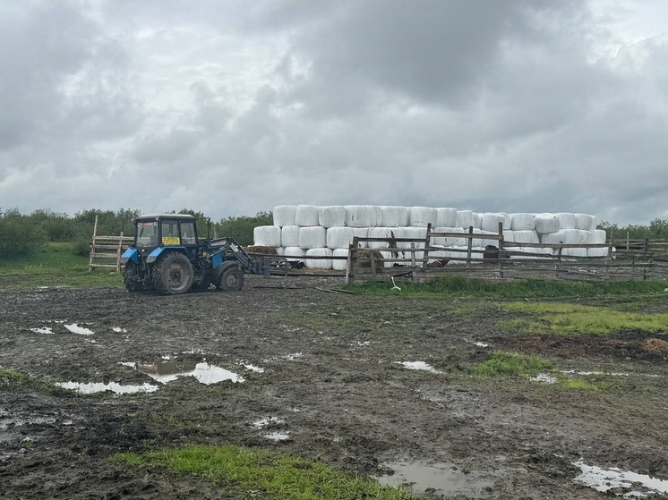 Тружеников сгоревшей в НАО фермы пообещали не бросить