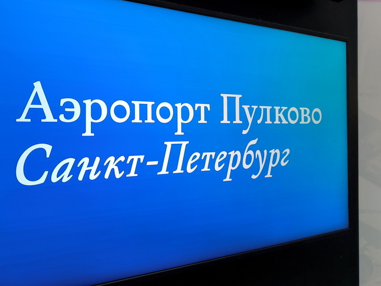 Аэропорт Пулково возобновил работу спустя восемь часов