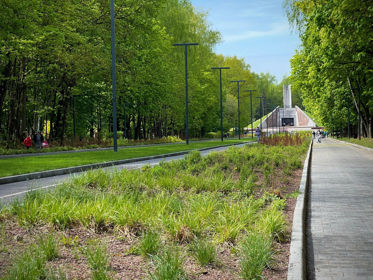 7 июля в Смоленске будет жарко