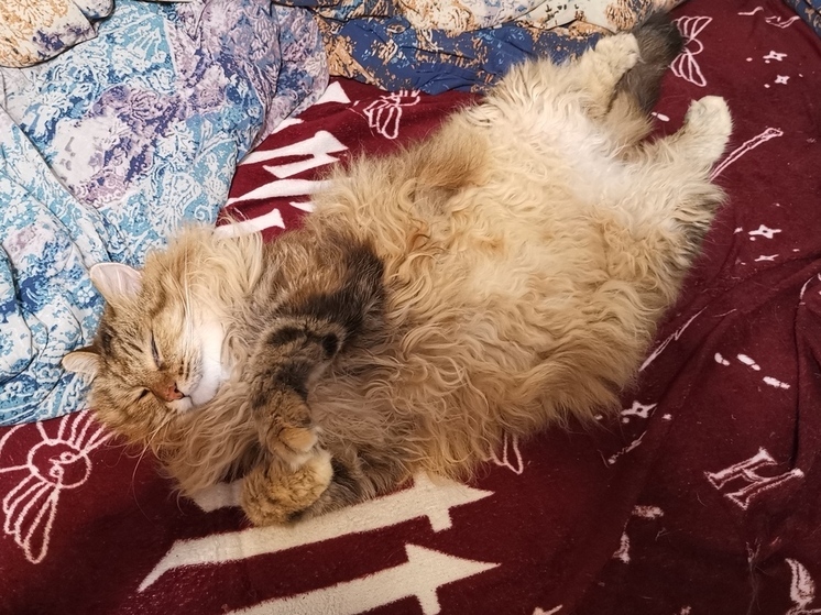 Стало известно, какая погода ожидает Приморье в понедельник, 7 июля