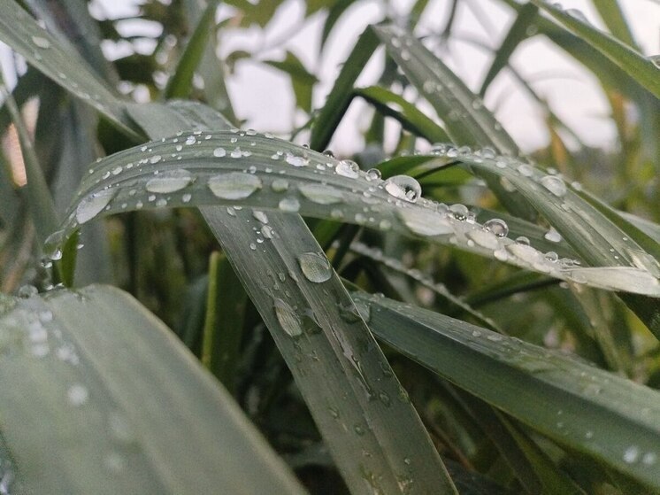 Грозы с ливнями и градом не уйдут из Хакасии 7 июля