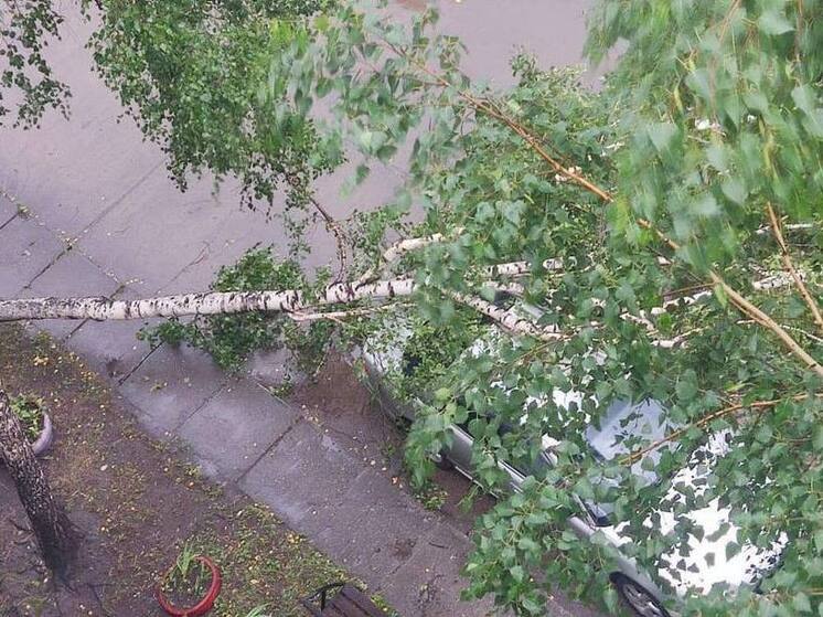 Ливень со шквалистым ветром создал проблемы жителям Саяногорска