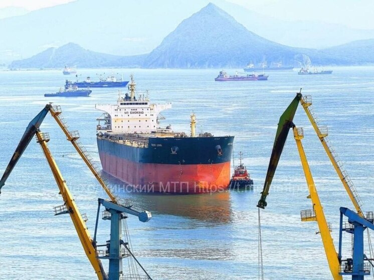 В порт Находки прибыло крупнейшее судно за всю историю гавани — сухогруз ORIENT LOONG