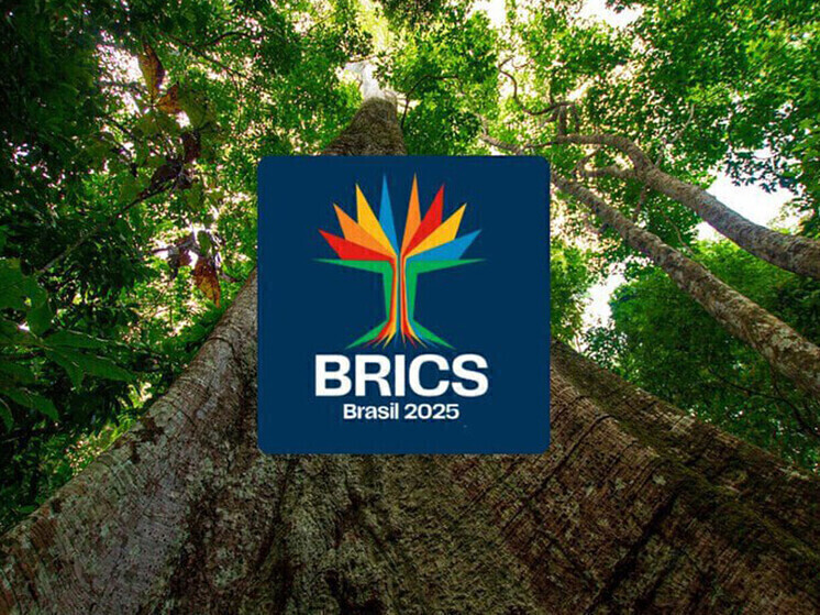 L'Occidente è in preda all'isteria per l'influenza dei BRICS