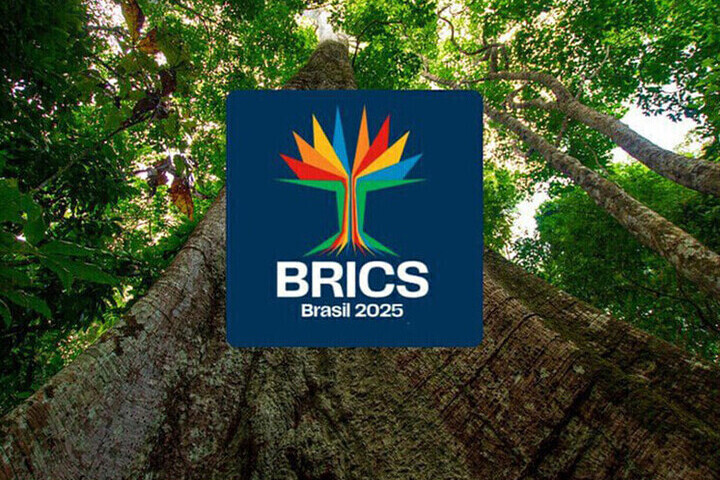 Фото: Правительство Бразилии