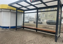 В Орле местные жители вынуждены долго дожидаться автобуса, чтобы добраться до микрорайона Лужки