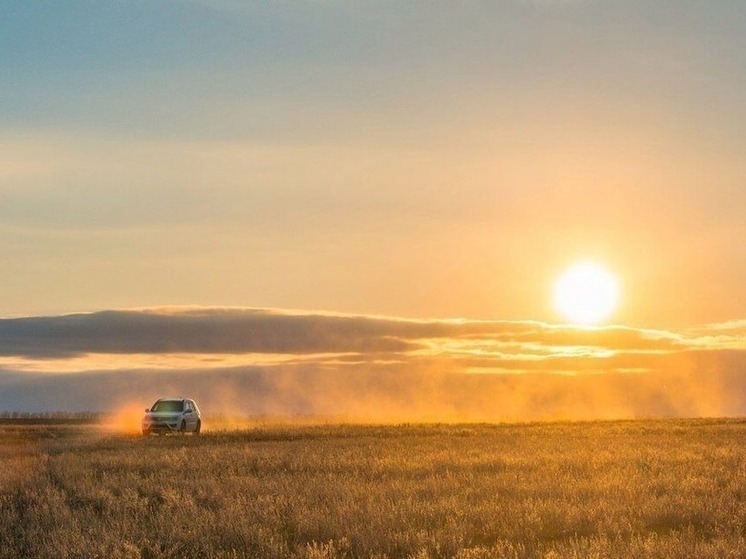Жаркий понедельник ждёт псковичей