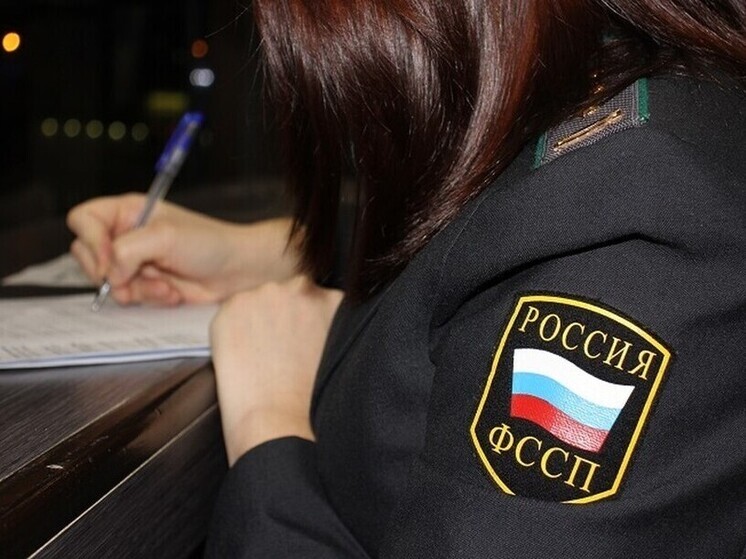 В Александрове должник пытался продать арестованный земельный участок