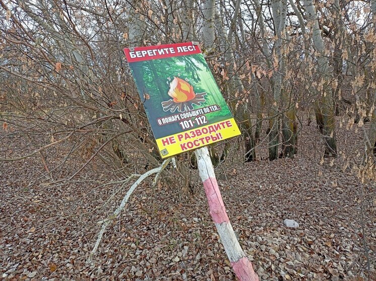 В Саратовской области нарушители противопожарного режима заплатят почти 800 тысяч рублей