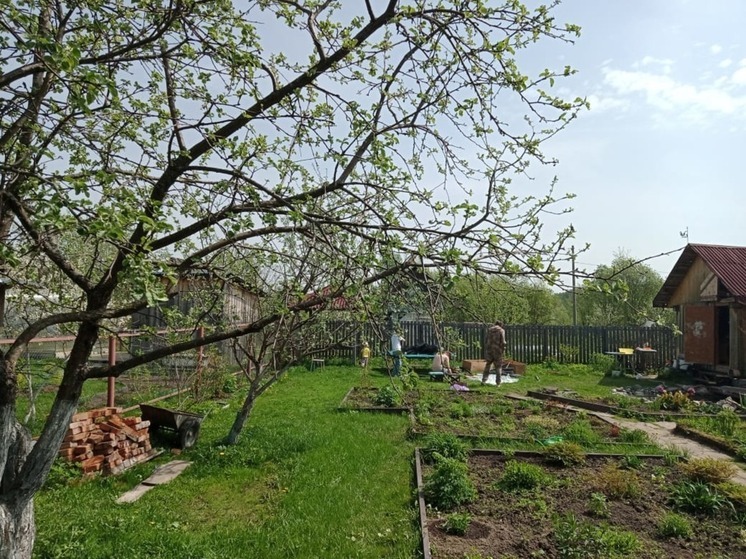 Красота и удобство в огороде: 7 простых лайфхаков, которые должен знать каждый дачник