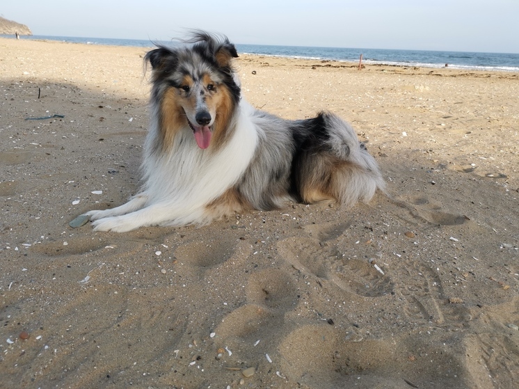 Борис Кубай: Аномальная жара в Приморье связана с явлением Ла-Нинья