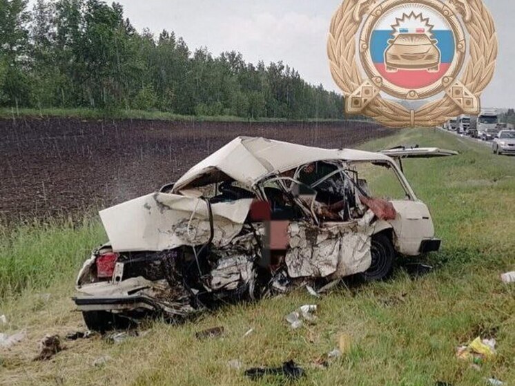 Саратовская полиция ищет очевидцев ДТП с шестью погибшими