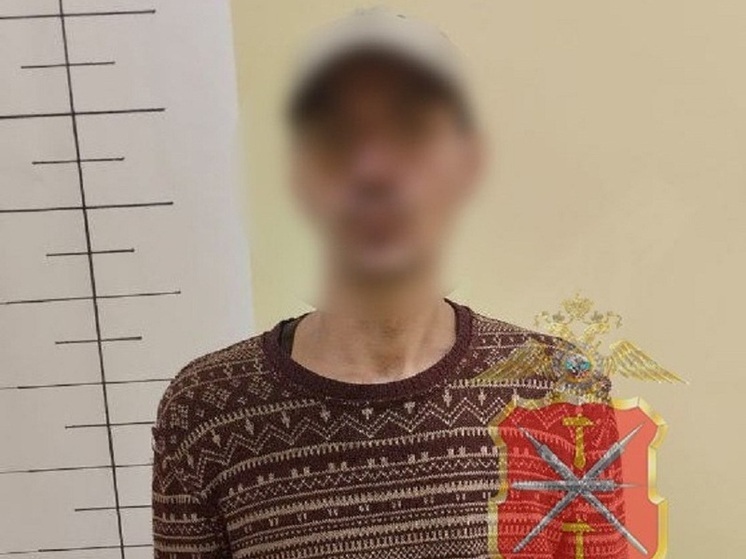 Под Тулой за избиение пенсионера костылем и грабеж задержан мужчина
