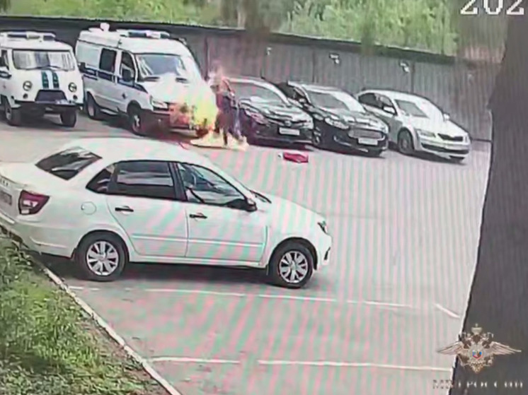Жительница Тулы подожгла полицейскую машину по заданию СБУ