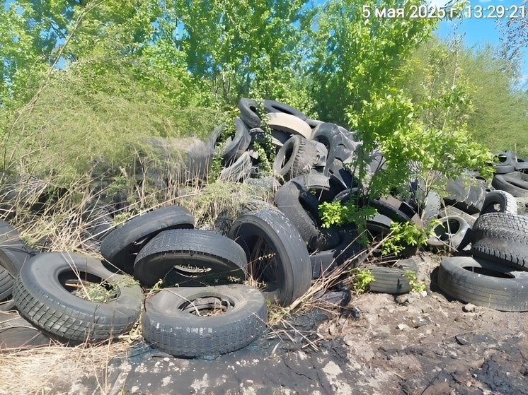 На Вагоностроительной улице обнаружили свалку покрышек