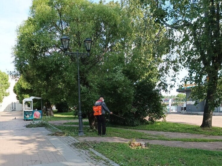 В Выборге зеленые зоны продезинфицировали от клещей
