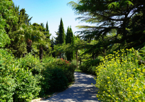 Foros Wellness & Park 4* в Большой Ялте – это идеальное место для замедления ритма жизни и перезагрузки как тела, так и разума во время отпуска