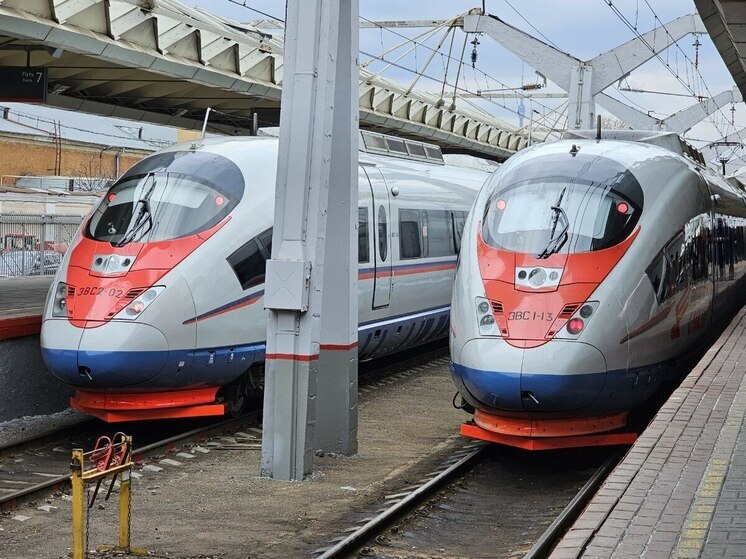 Три поезда перевезут пассажиров из Петербурга в Москву на фоне задержек в аэропорту