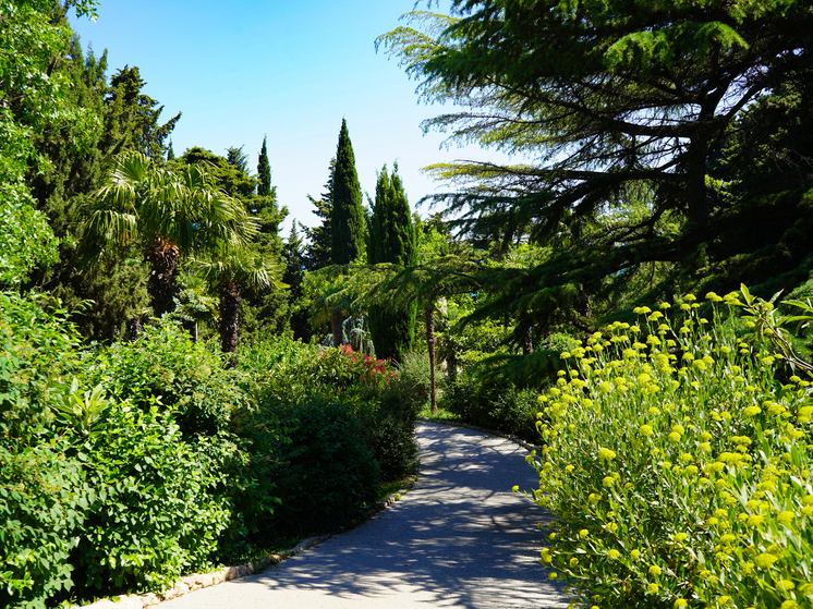 Foros Wellness & Park 4* a Big Yalta è il luogo perfetto per rallentare il ritmo della vita e rigenerare corpo e mente durante la tua vacanza