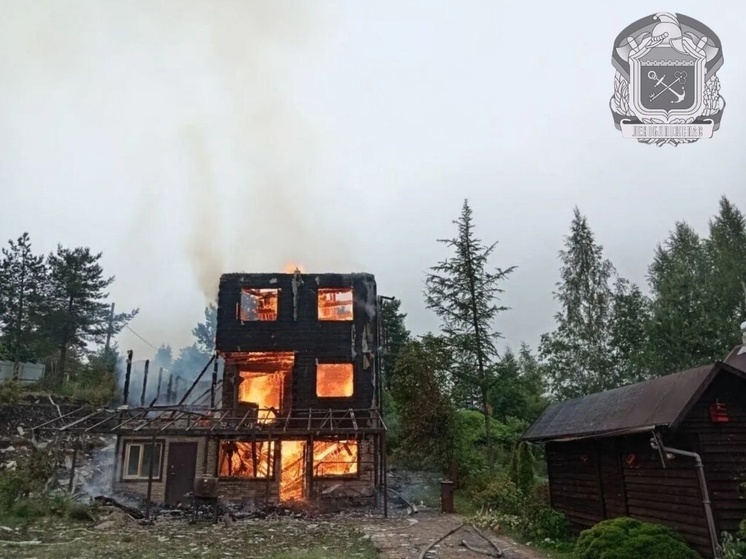 В садоводстве во Всеволожском районе сгорел трехэтажный дом