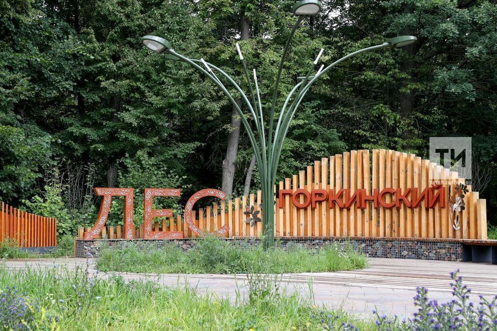 Горкинско-Ометьевский лес станет местом проведения «Большого семейного пикника»