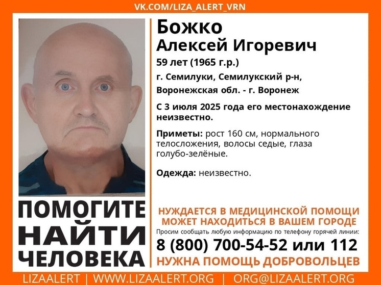 Воронежские волонтеры призывают помочь в поисках пропавшего Алексея