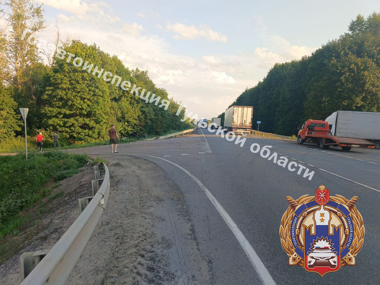 В лобовом столкновении на трассе М-4 "Дон" под Тулой пострадала семья с ребенком