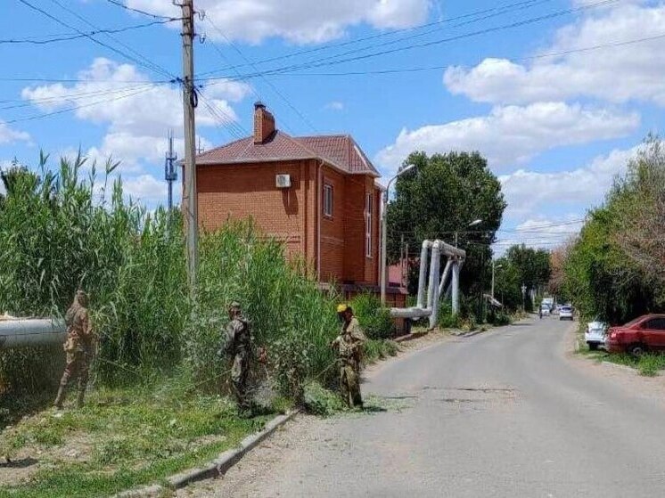 В июне в Астрахани скосили 54 гектара сорной растительности