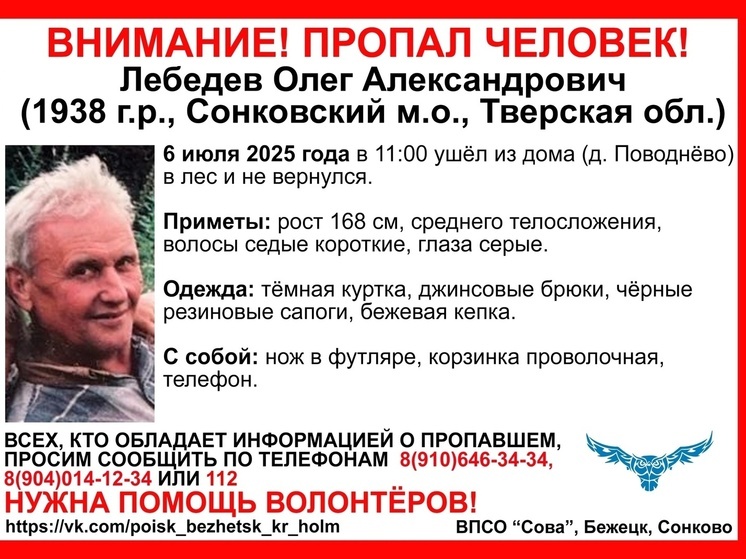 В лесу в Тверской области пропал пожилой грибник