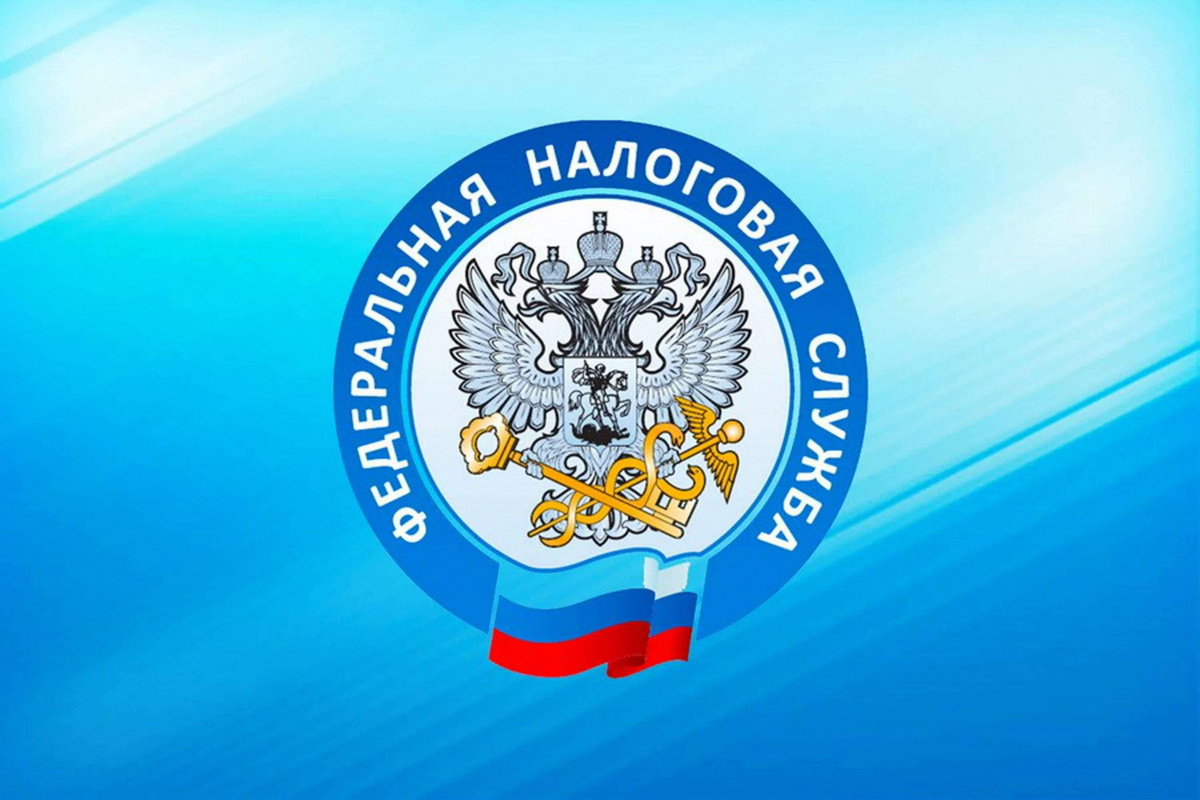 Серпуховичам напоминают: еще есть время досдать декларацию 3-НДФЛ за 2024 год