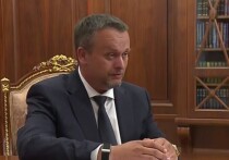 Депутаты Госдумы будут рассматривать кандидатуру Андрея Никитина, ставшего врио министра транспорта России, во вторник, 8 июля, заявили в нижней палате российского парламента