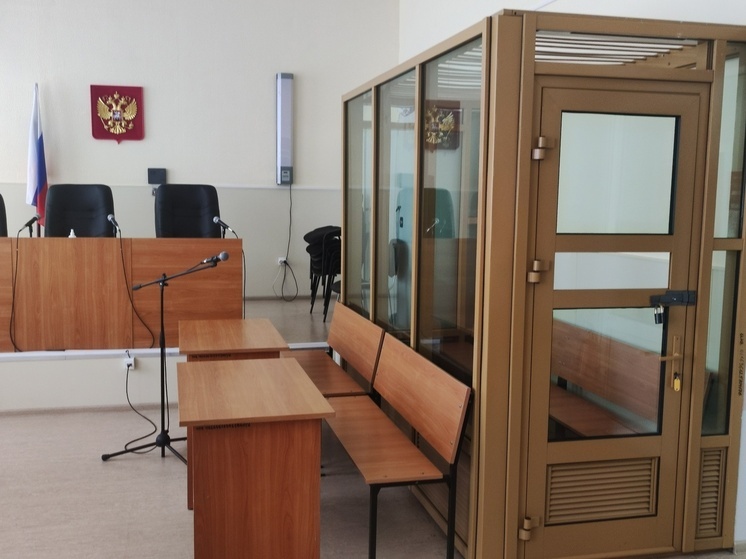 На 22 года осудили наркомана из Липецка за изнасилование ребёнка