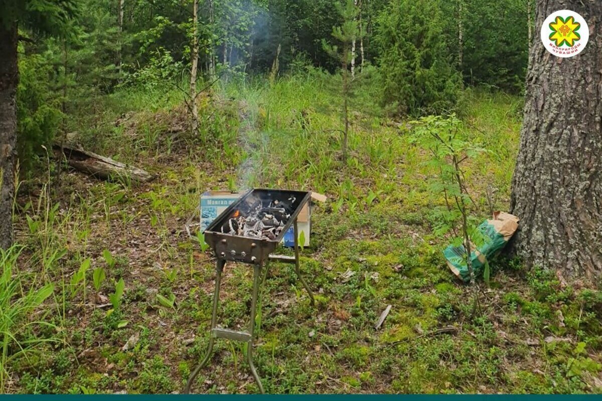 Инспекторы выявили оставленный мангал в лесу Заволжья и ликвидировали угрозу