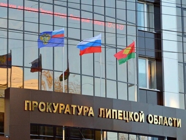 В Липецке женщина осуждена за ложный донос о преступлении