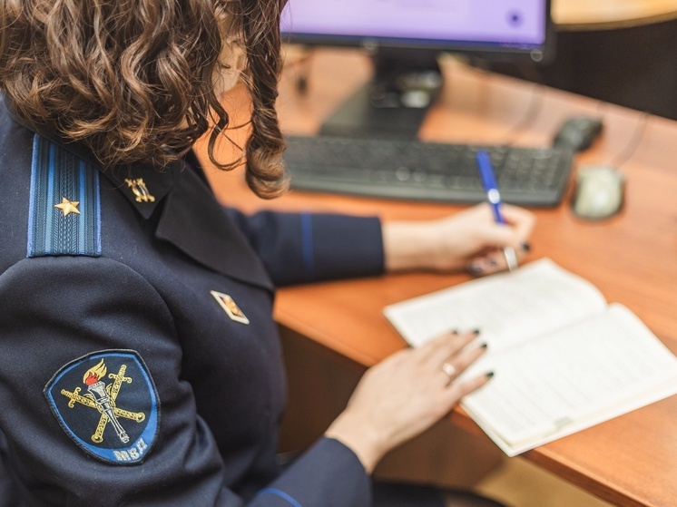 Девушка инфицировала жителя Костромы высасывающим деньги вирусом