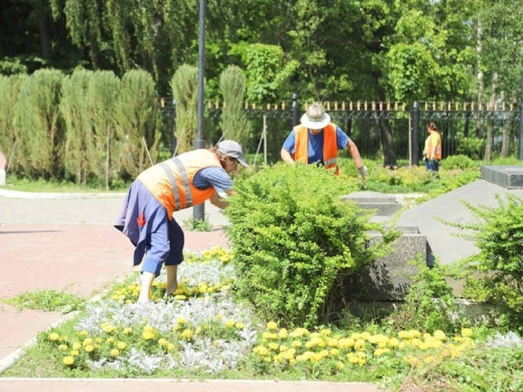Из-за жары в Туле усилили уход за зелеными насаждениями