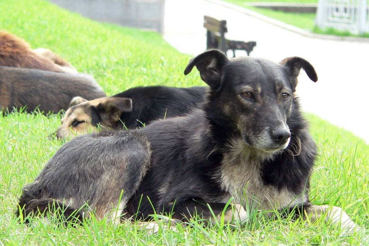 Фото: Елена Минашкина